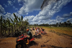 Ubud: Gorilla Face Quad Bike, Jungle Swing, Waterfall & Meal