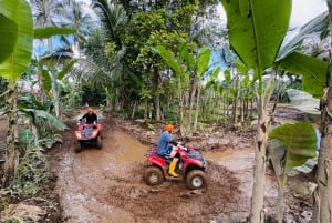 Ubud: Gorilla Face Quad Bike, Jungle Swing, Waterfall & Meal