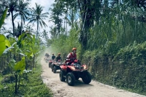 Ubud: Gorilla Face Quad Bike, Jungle Swing, Waterfall & Meal