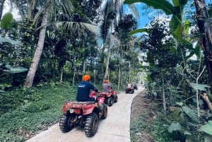 Ubud: Gorilla Face Quad Bike, Jungle Swing, Waterfall & Meal