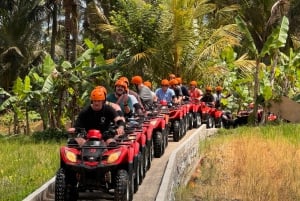 Ubud: Gorilla Face Quad Bike, Jungle Swing, Waterfall & Meal