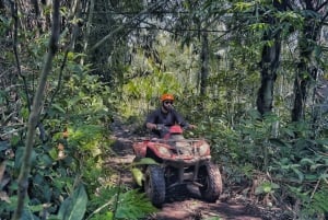 Ubud: Gorilla Face Quad Bike, Jungle Swing, Waterfall & Meal