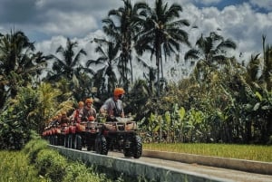 Ubud: Gorilla Face Quad Bike, Jungle Swing, Waterfall & Meal