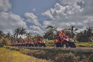 Ubud: Gorilla Face Quad Bike, Jungle Swing, Waterfall & Meal