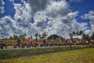 Ubud: Gorilla Face Quad Bike, Jungle Swing, Waterfall & Meal