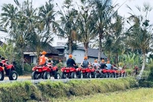 Ubud: Gorilla Face Quad Bike, Jungle Swing, Waterfall & Meal