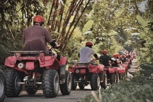 Ubud: Gorilla Face Quad Bike, Jungle Swing, Waterfall & Meal