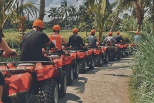 Ubud: Gorilla Face Quad Bike, Jungle Swing, Waterfall & Meal