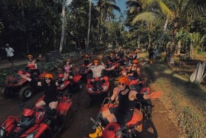 Ubud: Gorilla Face Quad Bike, Jungle Swing, Waterfall & Meal