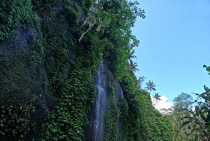 Ubud: tubing guidato nella giungla con pranzo