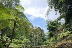 Ubud: tubing guidato nella giungla con pranzo