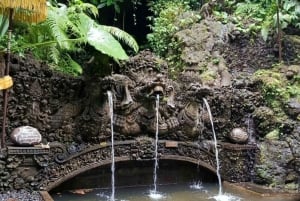 Ubud: Ritual Melukat Guiado com Serviço de Busca no Hotel
