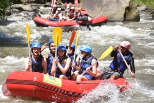 Ubud: Guided White Water Rafting Tour with Lunch