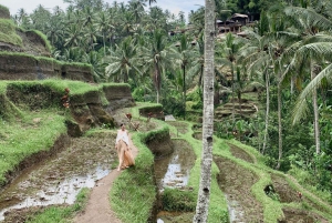 Ubud: Half-Day Semi-Customized Private-Tour with Live Guide