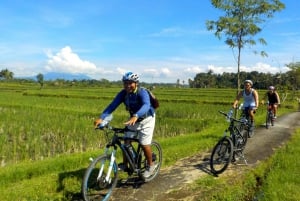 Ubud: Half-Day Tegallalang Electric Cycling Tour