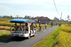 Ubud: Halbtagestour Tegallalang Elektrofahrradtour