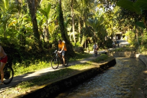 Ubud: tour di mezza giornata di Tegallalang in bicicletta elettrica