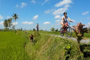 Ubud: Halvdags elektrisk sykkeltur i Tegallalang