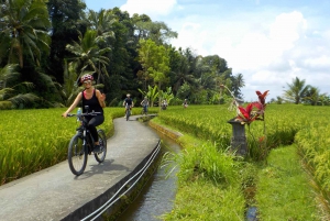 Ubud: Halve dag Tegallalang elektrische fietstocht
