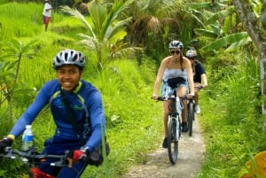 Ubud: Halve dag Tegallalang elektrische fietstocht