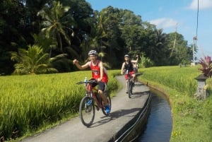 Ubud: Half-Day Tegallalang Electric Cycling Tour