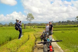 Ubud: Half-Day Tegallalang Electric Cycling Tour