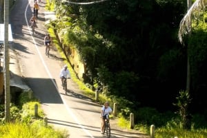 Ubud: Half-Day Tegallalang Electric Cycling Tour