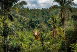 Ubud: Half-Day Zipline and Jungle Swing Adventure