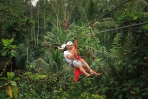 Ubud: Half-Day Zipline and Jungle Swing Adventure