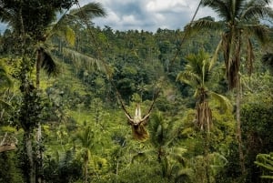 Убуд: зиплайн на полдня и приключение на качелях в джунглях