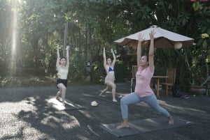 Ubud Hatha Yoga Home Service (sertifisert yogalærer)