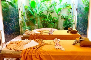 Ubud Healing Journey Experience - All Inclusive