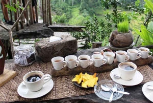 Ubud Healing Journey Experience - All Inclusive