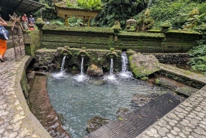 Ubud Healing Journey Experience - All Inclusive