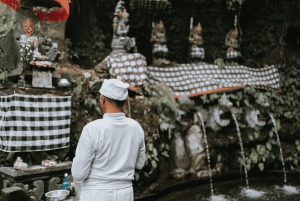 Ubud : guérison et purification avec un chaman dans un temple caché