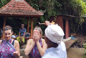 Ubud : guérison et purification avec un chaman dans un temple caché