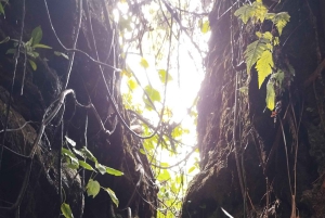 Ubud : guérison et purification avec un chaman dans un temple caché