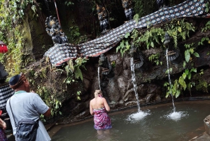 Ubud : guérison et purification avec un chaman dans un temple caché