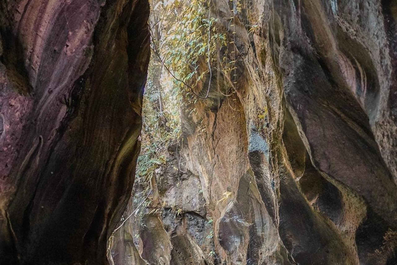 Ubud: Excursão guiada ao Canyon Escondido Beji Guwang