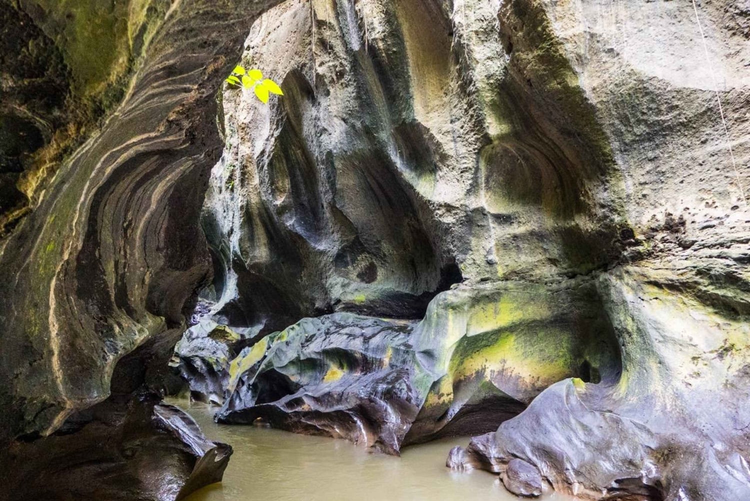 Ubud: Excursão guiada ao Canyon Escondido Beji Guwang