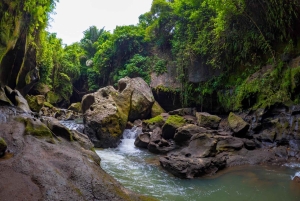 Ubud: Excursão guiada ao Canyon Escondido Beji Guwang