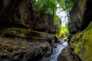Ubud: Excursão guiada ao Canyon Escondido Beji Guwang