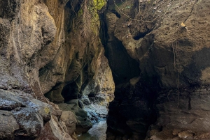 Ubud: Excursão guiada ao Canyon Escondido Beji Guwang