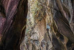 Ubud: Hidden Canyon Beji Guwang rondleiding