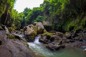 Ubud: Hidden Canyon Beji Guwang rondleiding