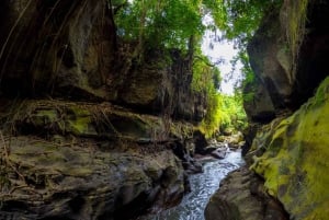 Ubud: Hidden Canyon Beji Guwang rondleiding