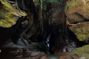 Ubud: Hidden Canyon Beji Guwang rondleiding