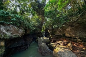Ubud: Hidden Canyon Beji Guwang rondleiding