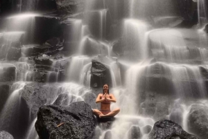 Ubud: Hidden Gems and Waterfalls Private Tour