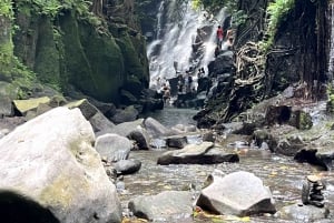Ubud: Verborgen juweeltjes en watervallen privétour
